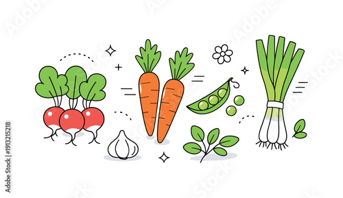 Spring vegetables set. A fresh collection of simple spring vegetables like radishes, carrots, and green onions, arranged as a light, balanced