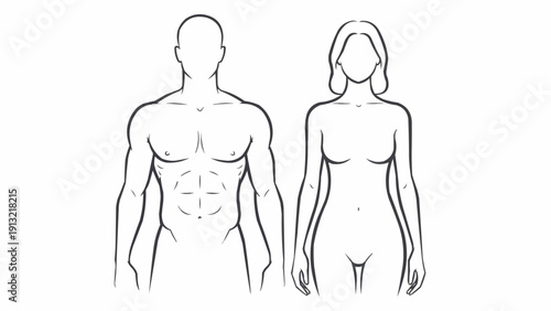 Outline illustration of a male and female human body.