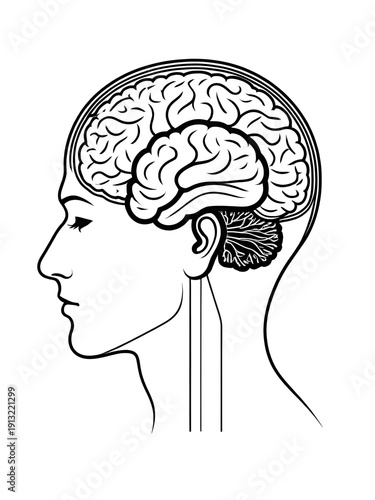 Man silhouette brain with clock as line drawing on white background