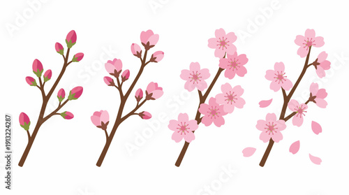 Pink cherry blossom tree branches blooming. Spring Vector Packs. EPS Editable
