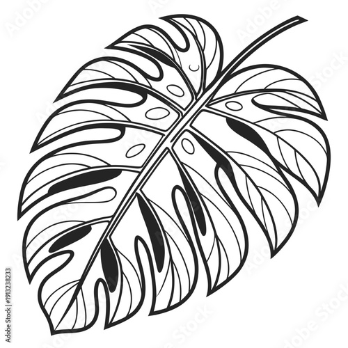 Black and white detailed line art illustration of a single monstera deliciosa leaf showcasing its characteristic fenestrations and natural tropical beauty