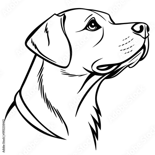 Simple black and white line art illustration depicting the noble profile portrait of a loyal Labrador retriever looking upwards with focused attention