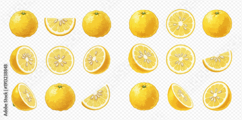 Set of fresh yuzu citrus fruits, whole and sliced, isolated on a transparent background, vector illustration.