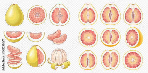 Set of fresh pomelo fruit, whole, half, sliced, and peeled, showcasing its vibrant pink flesh and yellow rind.