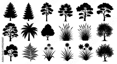 A comprehensive collection of diverse black and white tree and plant silhouettes, ideal for nature-themed graphic design projects and botanical illustrations, showcasing various species of flora