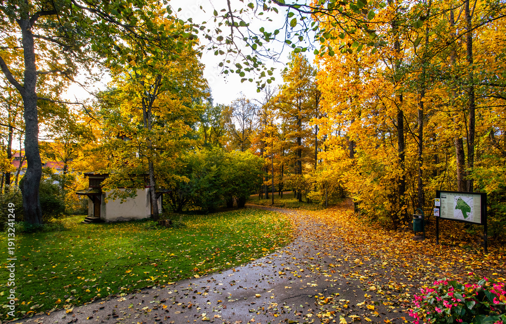 Naklejka premium autumn in the park