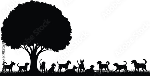 Silhouettes of dogs under a large tree in natural outdoor scene symbolizing companionship, pet ownership, leisure, and peaceful nature concepts
