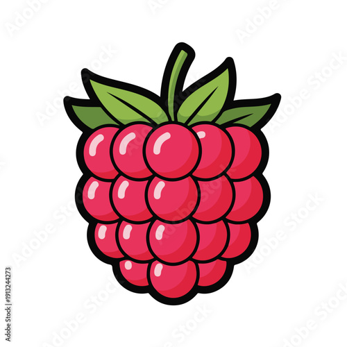 A fresh raspberry with leaves on top is illustrated in a cartoon style, showcasing the fruit's texture and vibrant color.