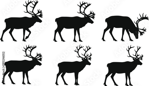 Reindeer silhouette collection with different poses, walking, grazing and standing elk vector illustration set