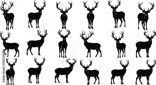 Deer silhouettes collection showing multiple standing and walking poses isolated on white background wildlife animal vector illustration set for forest nature design