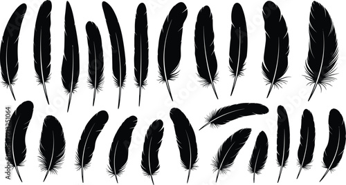 Feather silhouette vector set featuring various bird feathers in black solid style for tribal design, tattoo, logo, boho decor, and graphic projects use