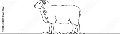 Minimalist sheep line art illustration standing on grass, continuous outline farm animal drawing for agriculture design, logo, branding, print, and vector use
