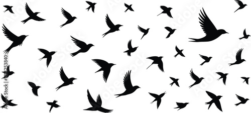 Flying birds silhouettes collection showing flock movement in sky black nature vector illustration isolated on white background for freedom concept design