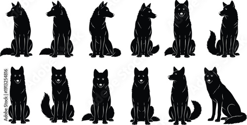 Silhouettes of wolves in sitting positions with varied postures, tails, and ears representing wildlife, animal design, nature illustration, and predator concept for creative projects