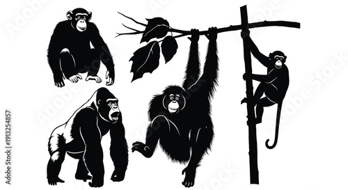 Monkeys playing and interacting in a tree, swinging from branches, a vector illustration of primates in their natural habitat