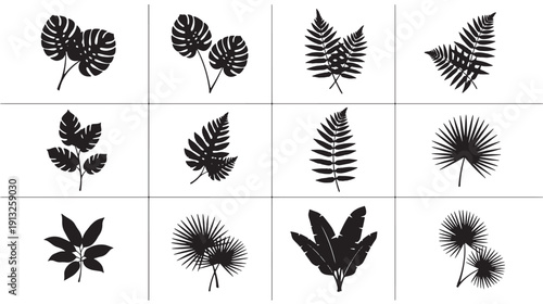 A grid of black silhouettes showcasing diverse leaves and plants from various species and environments displayed in a clean, simple white background