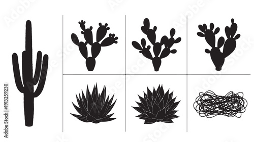 A collection of silhouetted cacti and succulents arranged in a grid pattern on a simple flat background from a direct viewpoint.