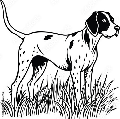 Monochrome Vector Illustration of a Hunting Dog (Pointer or Shorthair) Standing Alert in Grass, Ready for the Hunt; Detailed Black and White Vintage Engraving Style Mascot Logo Design.