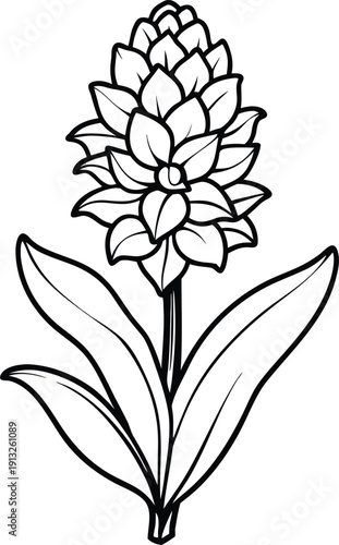 Hand-drawn Tropical Flower Spike Vector Line Art Illustration | Botanical Doodle Outline of Exotic Bloom for Wedding Invitations, Herbal Designs, and Nature-Themed Decoration.