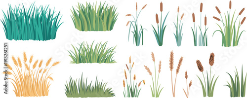 Hand drawn grass and reed plants illustration set isolated on white background, natural meadow and wetland vegetation elements for landscape and botanical design