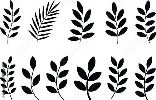 Black Leaf Silhouettes Set Featuring Detailed Tropical Palm Fronds and Botanical Branch Elements Isolated on White Background for Minimalist Floral Graphic Design and Vector Projects