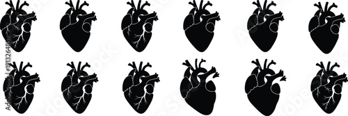Set of Black Anatomical Human Heart Silhouettes in Seamless Pattern Background, Detailed Medical Illustration for Cardiology, Biology, Healthcare and Gothic Design Use