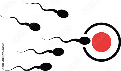 Sperm fertilization concept illustration showing sperm cells swimming toward ovum egg for human reproduction fertility biology and medical education design