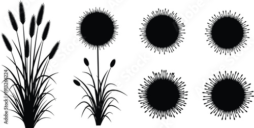 Reed grass and round bush silhouettes, ornamental botanical elements, black nature plant icons, landscaping foliage set, flat vector illustration