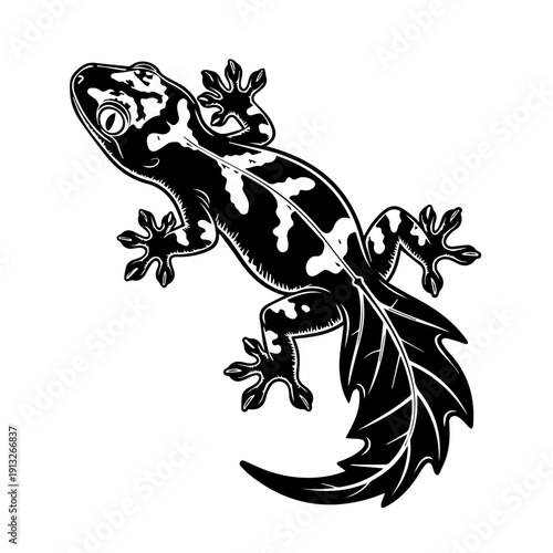 Elegant black and white silhouette of a stylized gecko with intricate tail details