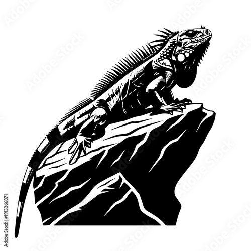 Elegant silhouette of a woman with flowing hair and draped fabric