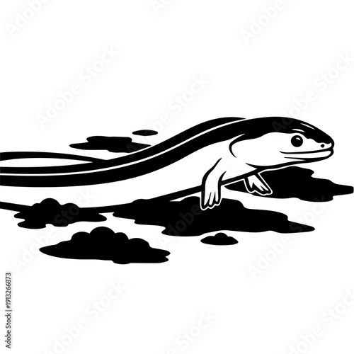 A stylized black and white illustration of a salamander emerging from water
