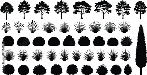 Tree and shrub silhouette collection, garden landscape plant set, black botanical nature elements, foliage bundle icons, flat vector illustration