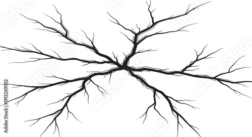 Black and White Stylized Tree Branches Illustration winter bare