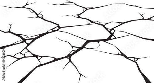 Black cracked pattern on a white background resembling dry earth or ice black and white