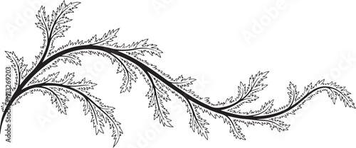 Black ornate leafy branch design on white background abstract
