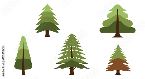 Cedar Tree Line art creative shape color illustration