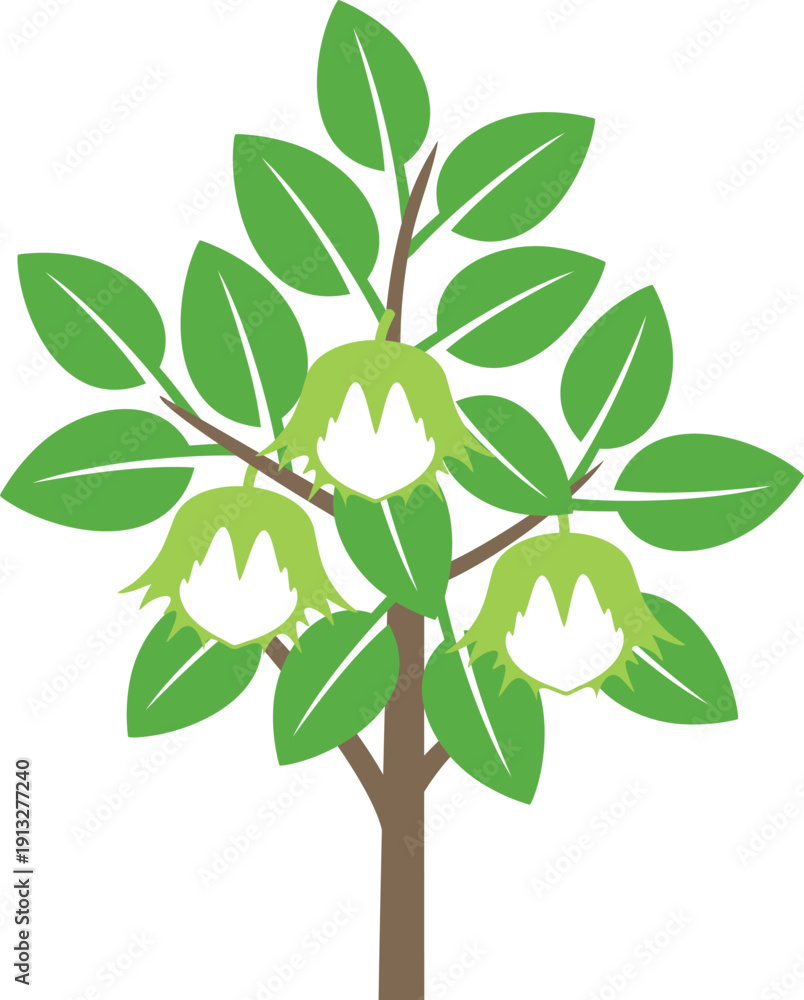 Obraz premium Hazelnut tree logo. Isolated hazelnut tree on white background