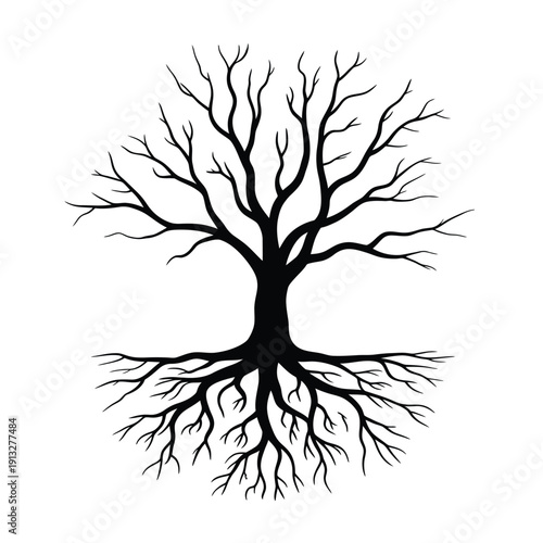 A stark black silhouette of a bare tree with prominent roots