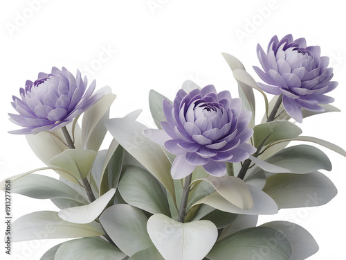 Three violet flowers on plant with green and white leaves on transparent background