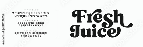 Elegant Uppercase And Lowercase alphabet beauty logo font. Classic beautiful Modern luxury Serif Letter Minimal Fashion. Typography decoration logotype fonts, wedding, logos. vector illustration