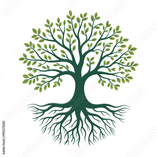 A detailed illustration of a lush green tree with prominent roots