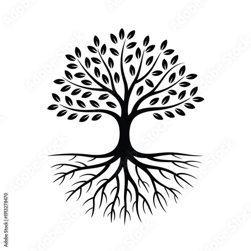 A simple black and white illustration of a tree with detailed roots