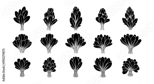 Set of black and white illustrations of various leafy plants on a plain background