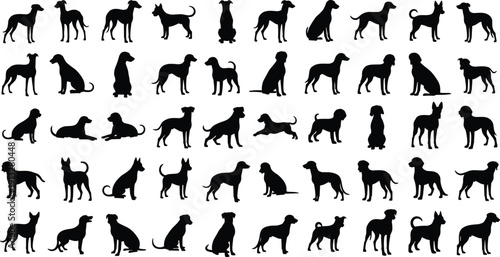 Dog silhouettes collection, pet animal vector, domestic canine icons, breed outline set, sitting standing poses, black silhouette art, design illustration