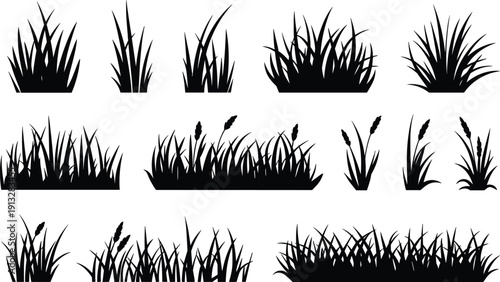 Grass and wild plants silhouettes collection with different meadow and field shapes isolated on white background for landscape, nature and design projects