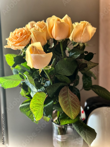 Charming Peach Roses Bouquet Displayed Indoors, Offering a Touch of Elegance and Natural Beauty to Interior Space