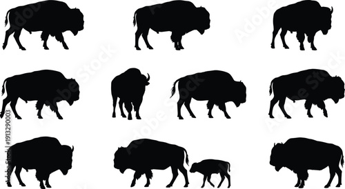 Bison Silhouette Collection Featuring American Buffalo in Various Standing and Walking Poses, Wild Prairie Animal Set Isolated on White Background