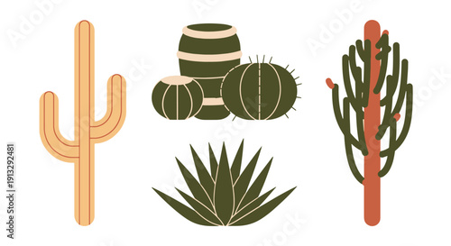 Desert Plants Line modern abstract tone vector