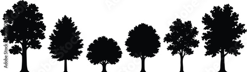 Deciduous tree silhouette collection featuring various leafy trees isolated on white background, detailed black woodland vector illustration set for landscape and nature design