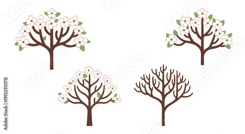 Dogwood Tree Line modern smooth style vector